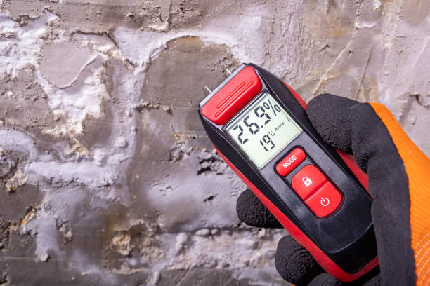 Best Attic Mold Removal  in Mineola, TX