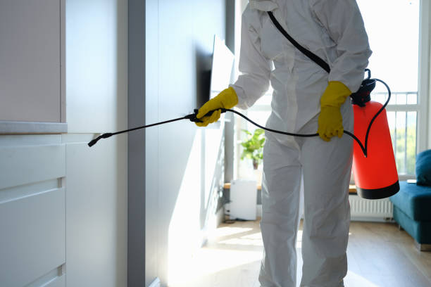 Best Mold Testing  in Mineola, TX
