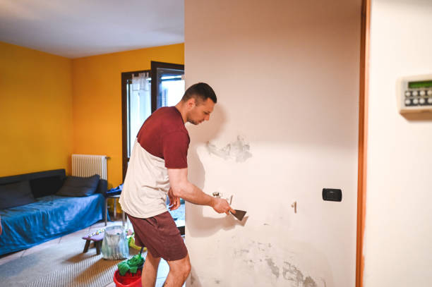 Best Mold Testing  in Mineola, TX